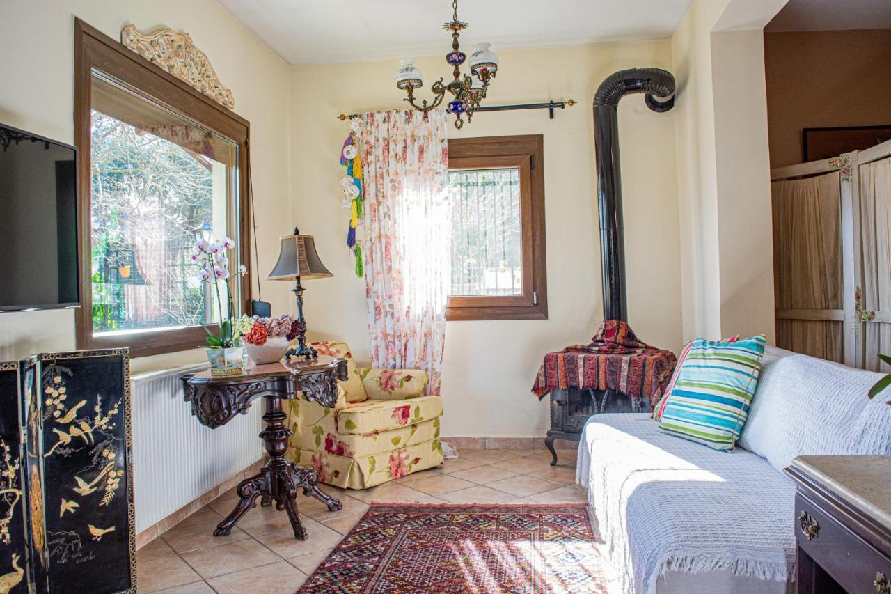Sofia'S House Apartment ปาเลออน ซิฟลิคิออน ภายนอก รูปภาพ